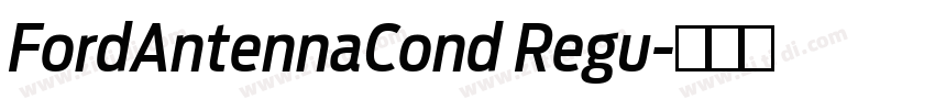 FordAntennaCond Regu字体转换